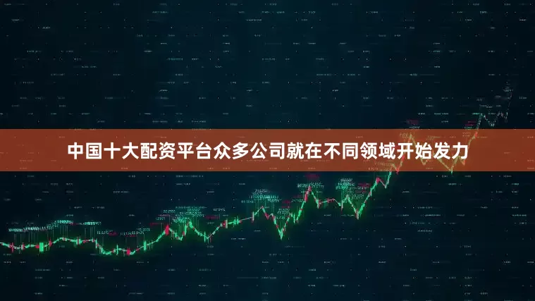 中国十大配资平台众多公司就在不同领域开始发力