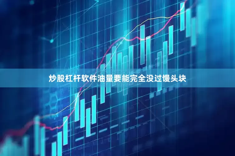 炒股杠杆软件油量要能完全没过馒头块